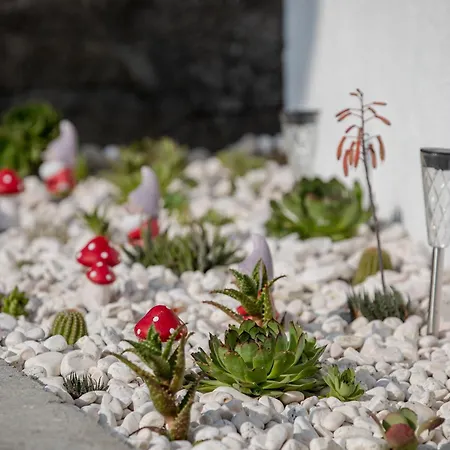 With Parking Space Lopar, Rab - 22558 Lopar